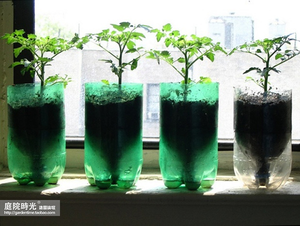 变废为宝自制栽培绿植器皿,塑料瓶创意绿植盆栽旧物利用