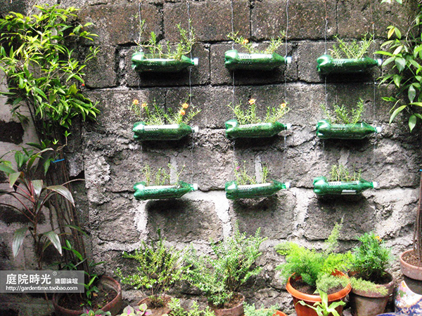变废为宝自制栽培绿植器皿,塑料瓶创意绿植盆栽旧物利用