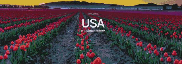 鐧惧彉缇庡啗,鐧惧彉缇庡浗