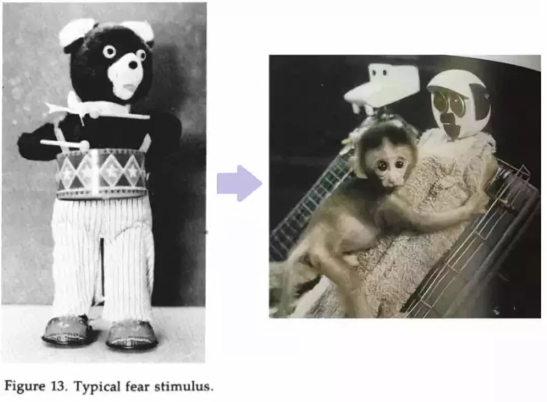 四岁小孩不走路要求妈妈抱的危害,小孩子会走路了为什么老是要抱