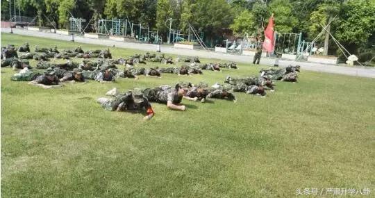 深圳市军训地方有哪些,广东训练营小学生军训21天课程表