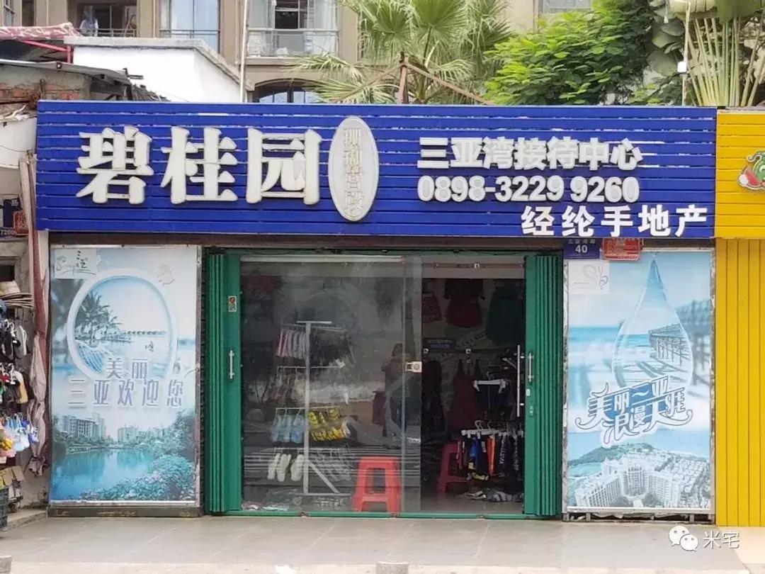 海南岛房地产限购 (海南岛房产泡沫时期)