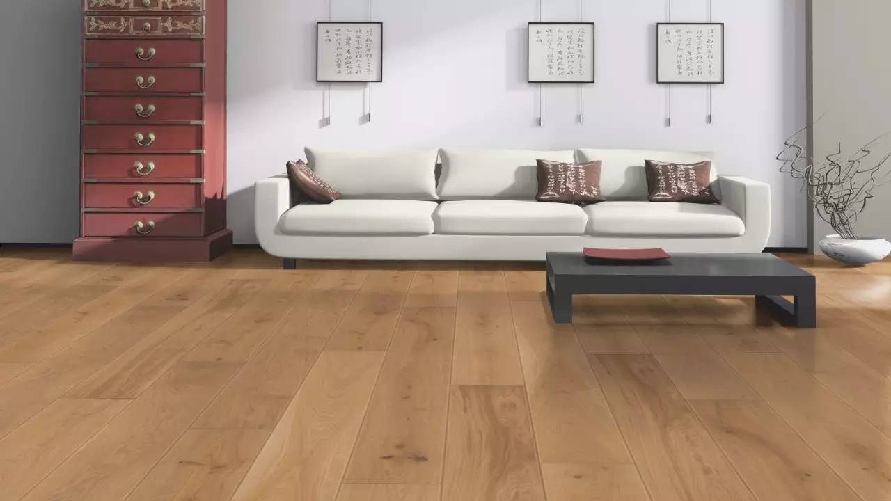 渣男拖把“三宗罪”怎样才算好拖把？