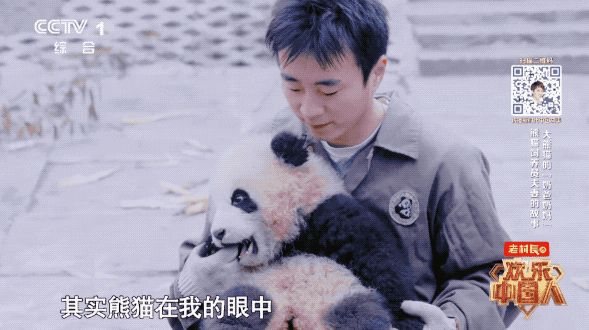 晨读一切都是最好的安排,真正的爱就是柴米油盐酱醋茶