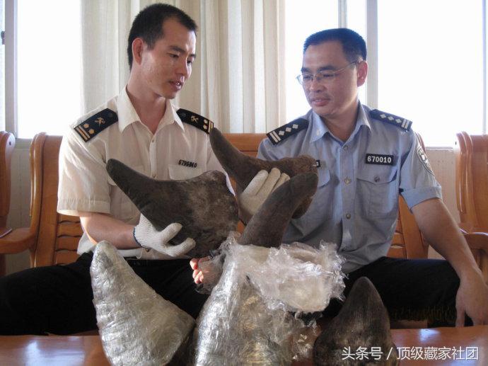 犀牛角的特征和图片,犀牛角的种类图片大全