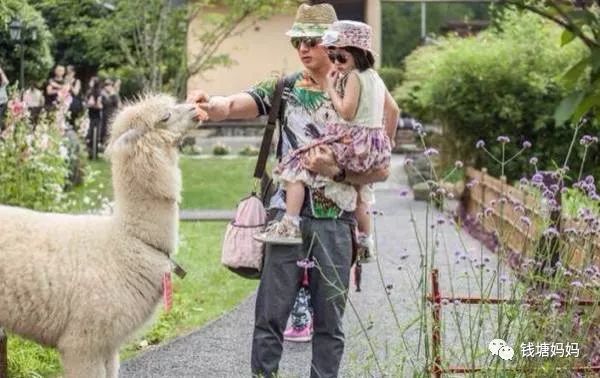 杭州有哪些亲子度假酒店推荐,杭州适合带孩子住的亲子主题酒店