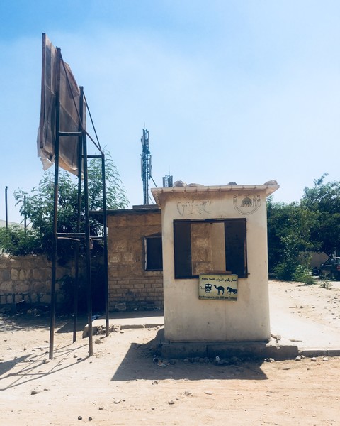 幼年时的梦,年少时的梦原文朗读