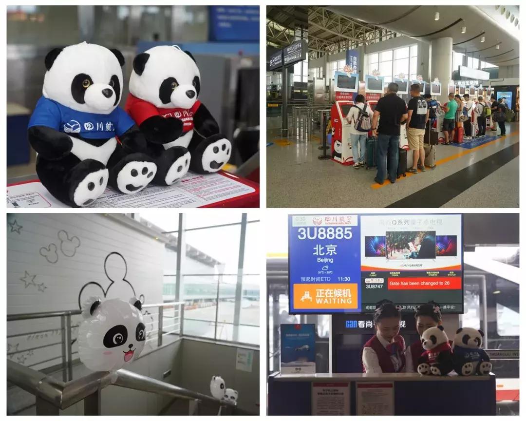 四川航空a350有超级经济舱吗,四川航空a330经济舱乘坐体验