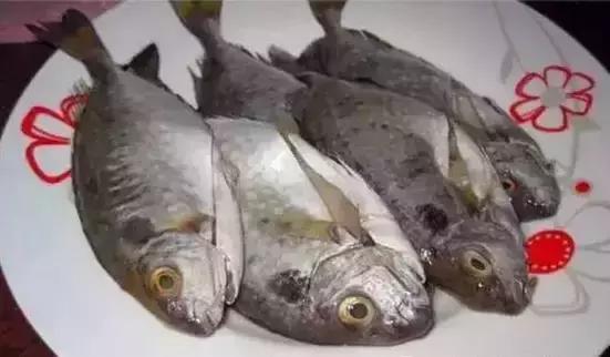 海南的鱼类大全,海南鱼类大全图片