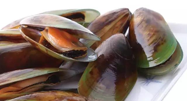 海南的鱼类大全,海南鱼类大全图片