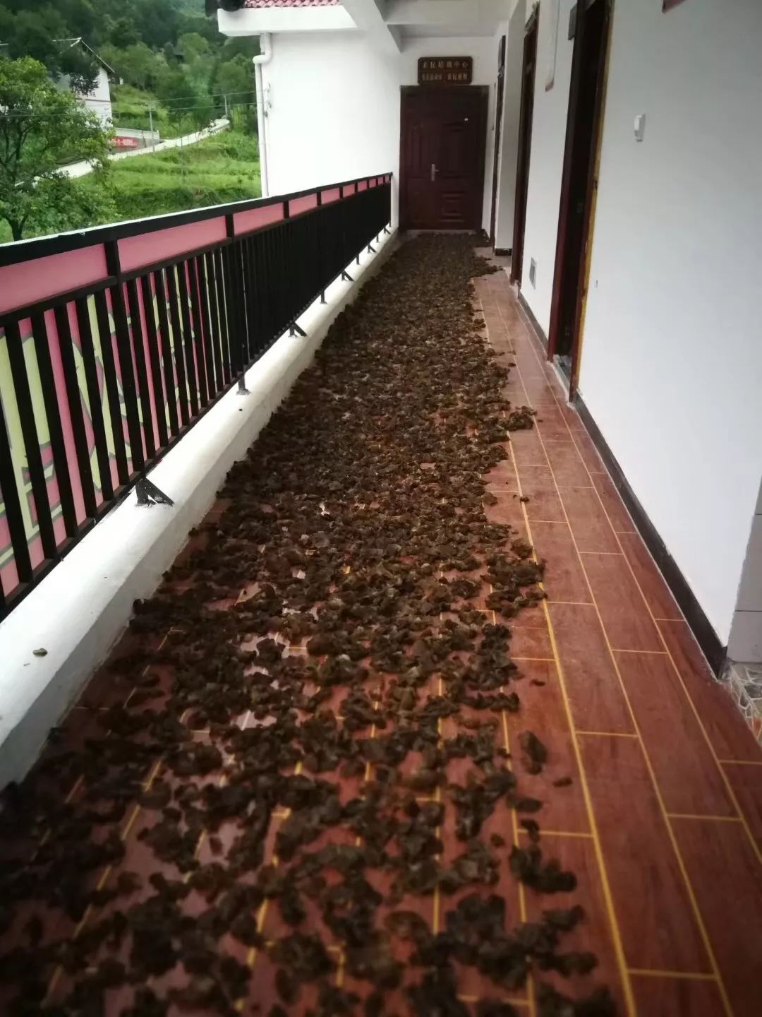 广元旺苍这家超市建成啦，以“德”换物不要钱！