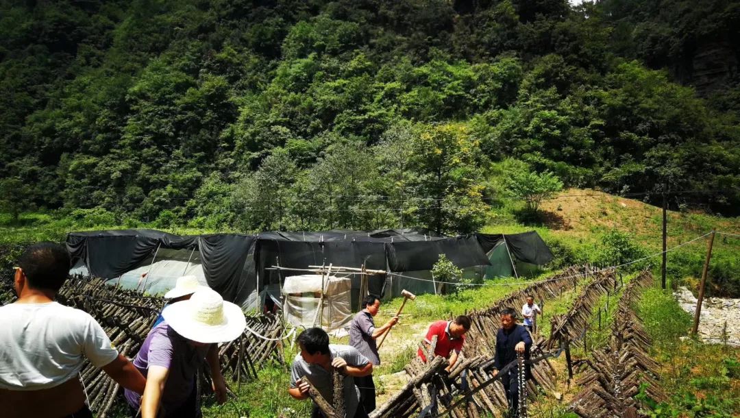 广元旺苍这家超市建成啦，以“德”换物不要钱！