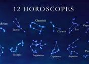 动物医学专业硕士研究生就业前景,女孩学动物医学专业就业前景