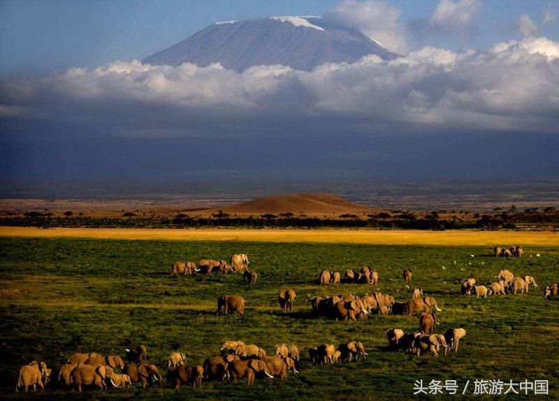 非洲猪瘟竟源于“地球伤疤”大裂谷：这儿一夫多妻，可怕少女割礼