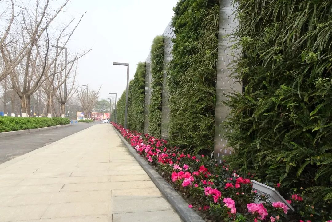 金牛又上榜了！这次是因为……