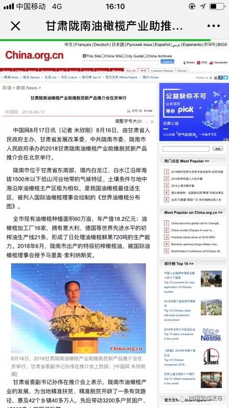 今生广种橄榄树，来世还做陇南人！