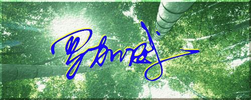 051期：目前已经制作了一千三百多个姓名大家找一下