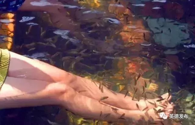 温泉水滑洗凝脂,温泉水滑洗凝脂什么意思