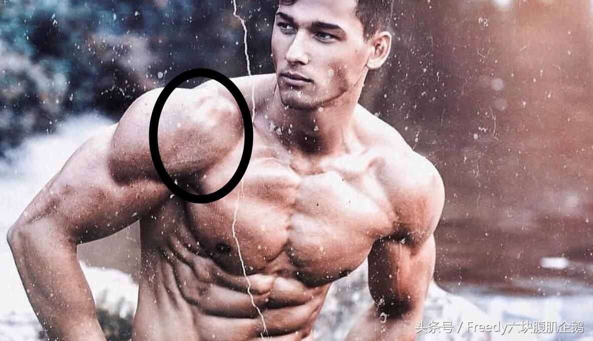 三角肌前束怎么练都练不出饱满,三角肌后束怎么练呢