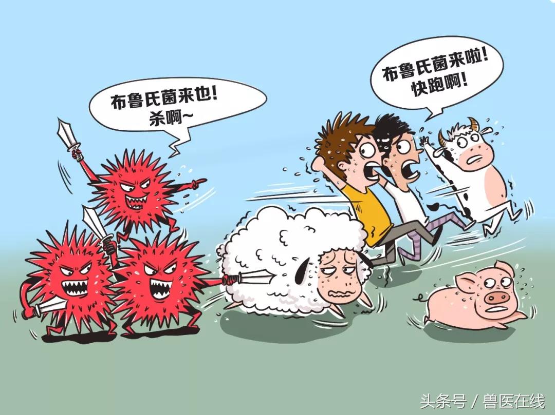 人畜共患病有哪几种病,人畜共患比较严重的疾病