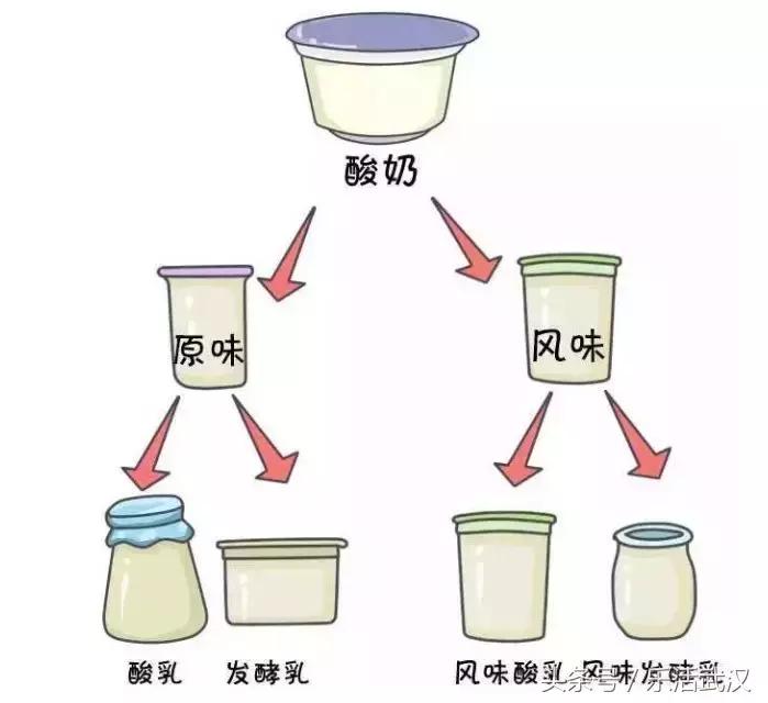 酸奶大测评,酸奶大瓶装评测