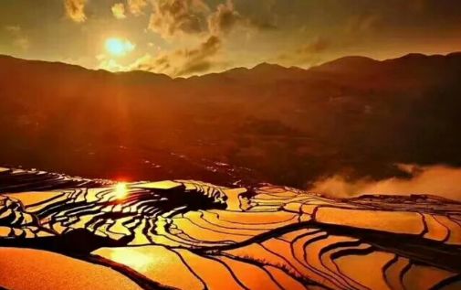 酒解千愁视频,酒解千愁的下一句