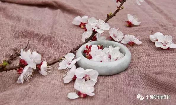 唐寅落花诗17首,唐寅落花诗三十首