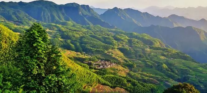 丽水遂昌市区,在丽水的遂昌