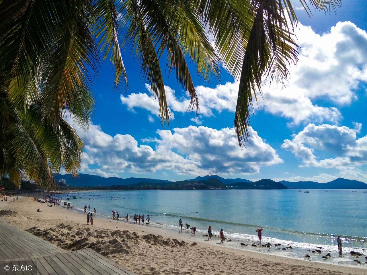 没有人能猜出这些车都是什么车型,看懂这几点就知道是什么车