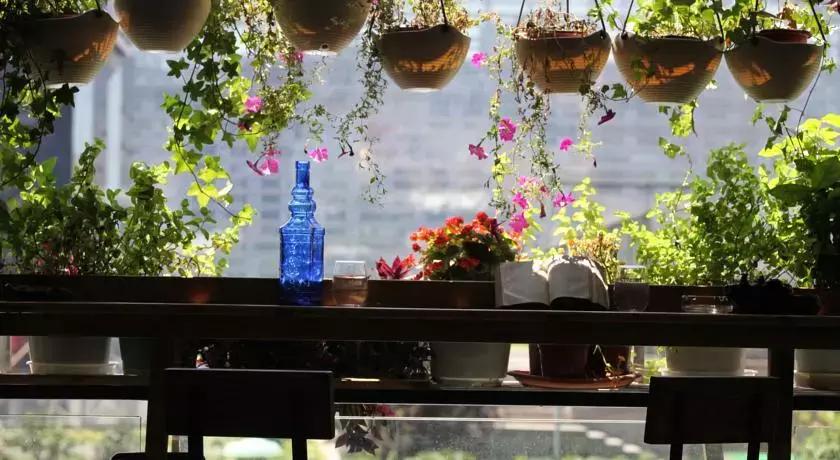 成都市区民宿推荐网红,成都市区民宿经济实惠推荐