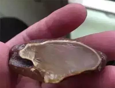 水煮蜜蜡和压制蜜蜡,蜜蜡迷