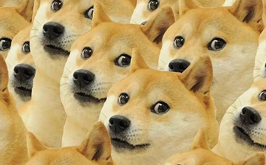 贴膜一定要选对膜,贴膜的时候如何挑选适合自己的膜