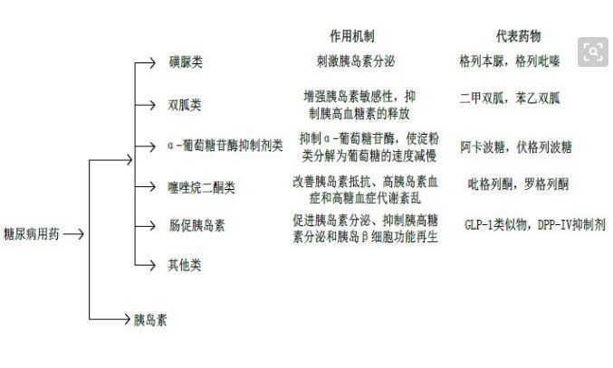 曲格列汀和二甲双胍合用,曲格列汀和二甲双胍的区别