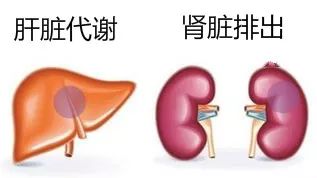 讲的好，记得牢！这可能是我见过最高效的“药理学”学习法啦！