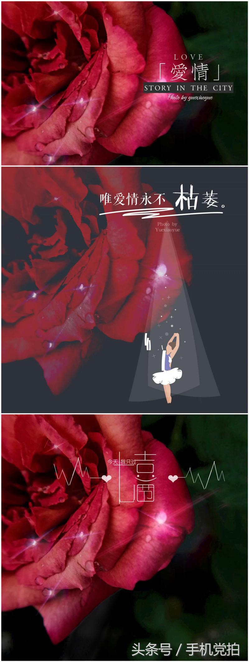 给图片上加印章,给图片加个好看文字