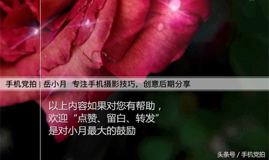 给图片上加印章,给图片加个好看文字