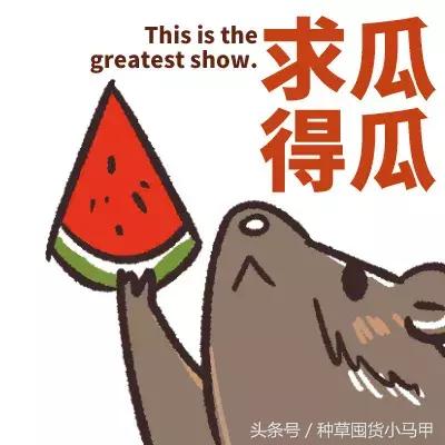 朋友圈代购图鉴,多的是你不知道的事!