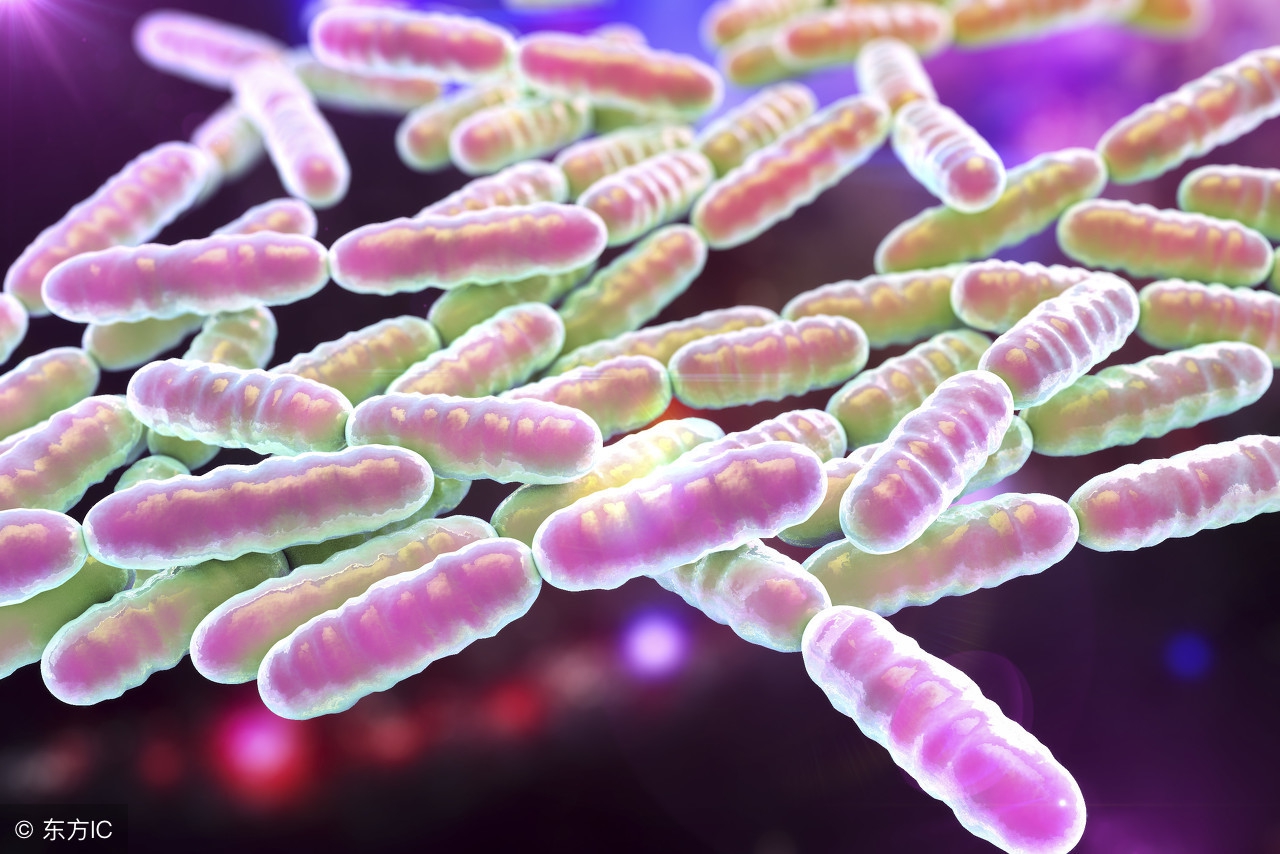 食物进肠道立马胀气,2月份引起肠胀气的食物