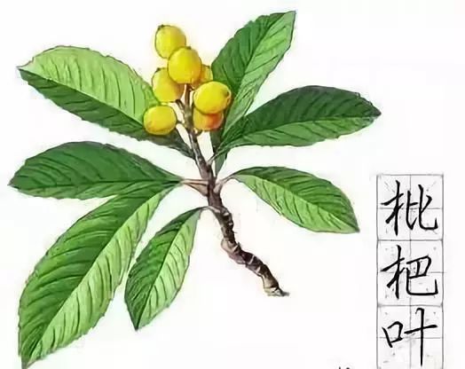 最近热播的古装中医电视剧叫什么,中医影视剧梗