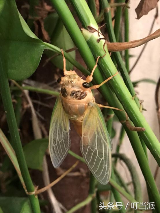 steam新手教程按键都是什么,steam无可阻挡的新手教程