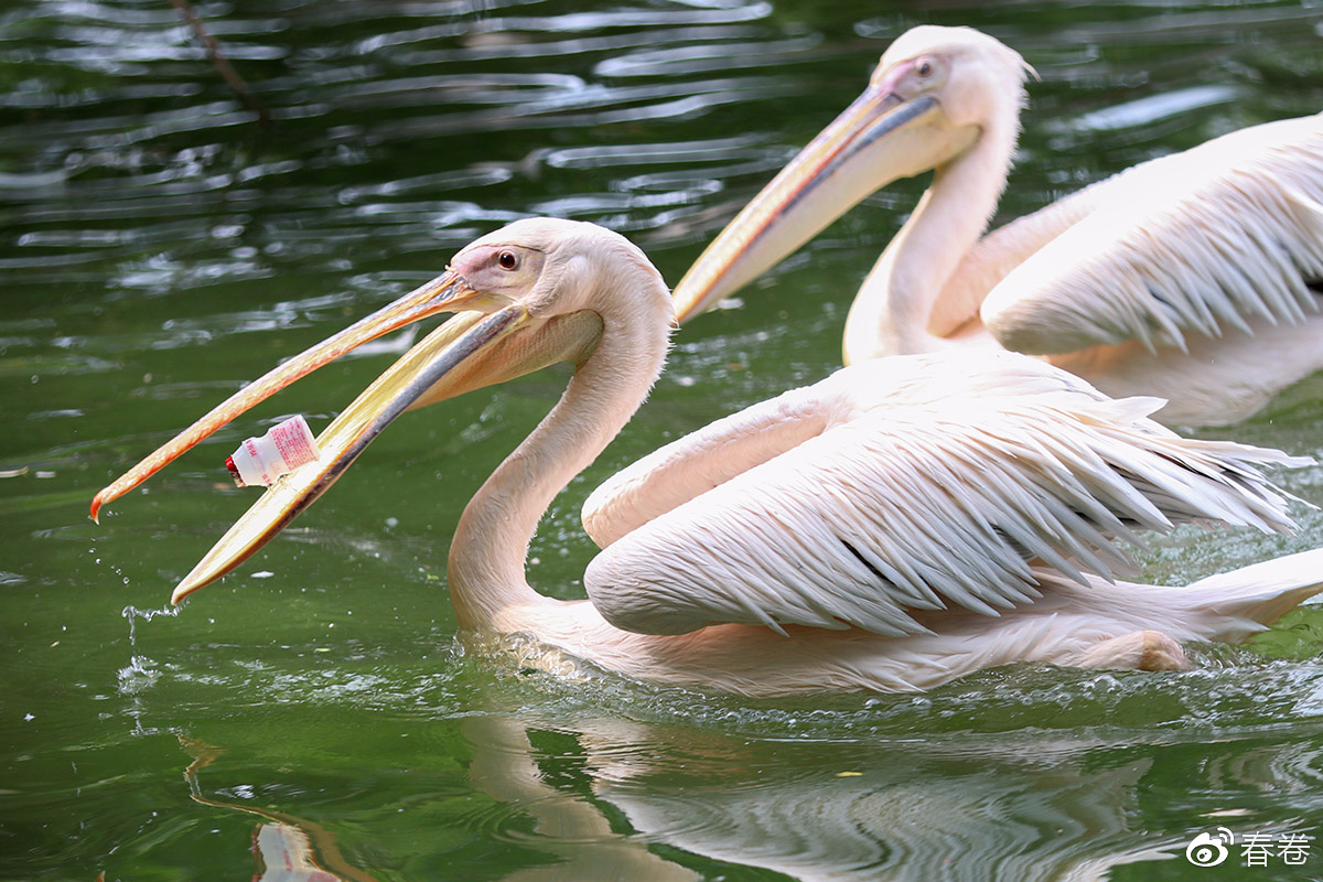 佳能人像风景原图直出参数,佳能复古风人像