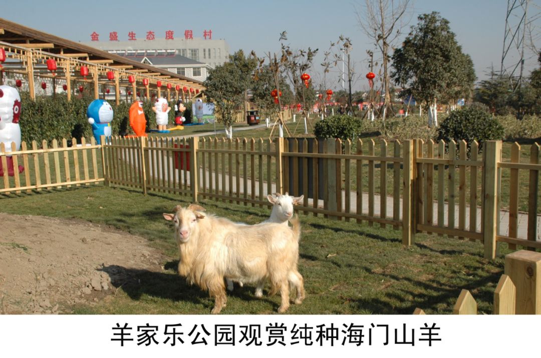 南通三农增产增收,海门三个高质量发展主题