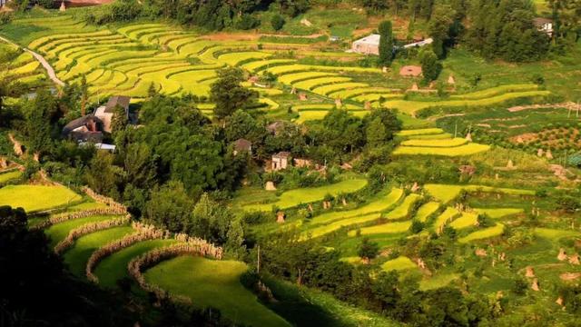 重庆免门票周边游地方推荐,重庆周边免门票公园