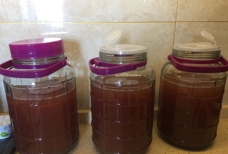 自酿葡萄酒怎么判断葡萄酒坏掉了,葡萄酒怎么酿家庭版