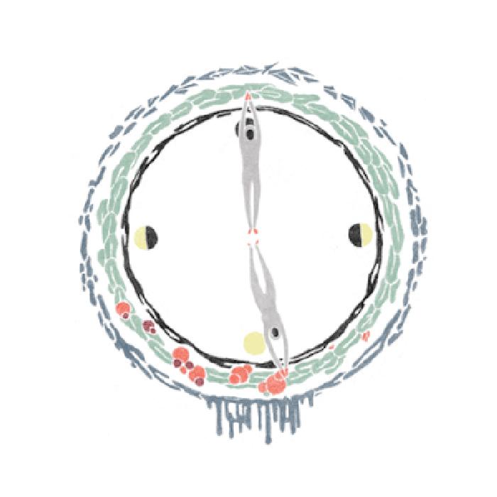 濞滄墡鐨刣w鎵嬭〃,dw鏂版鑵曡〃