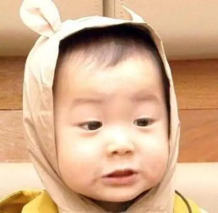 秋葵与曼陀罗的区别,秋葵与曼陀罗花