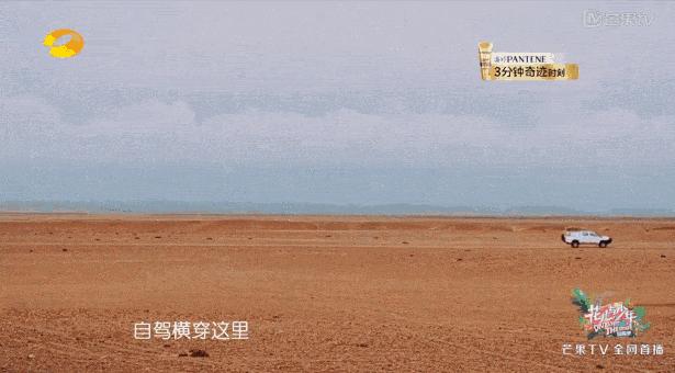 陈柏霖一个人的旅行,陈柏霖花少完整版视频