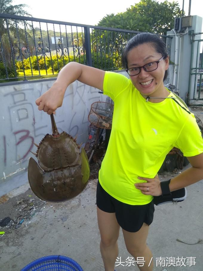 国庆去南澳岛旅游攻略,南澳岛赶海出海游玩攻略