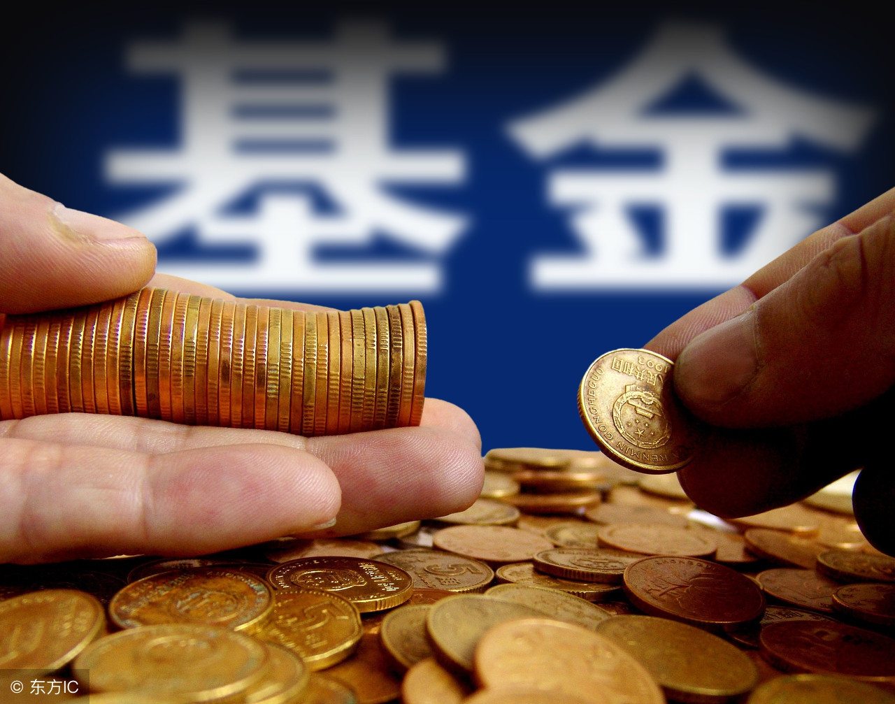 懒人投资法视频教程,每日高回报的投资方法