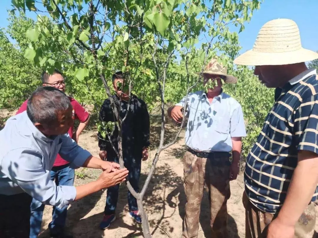 最新扶贫概念股一览,ipo扶贫概念股